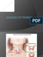 Anatomy of Thyroid