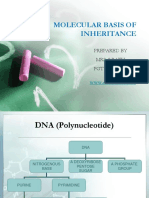 1. MOLECULARBASISOFINHERITANCE.pps