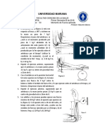 tallerVIIfisioterapia 2018 PDF
