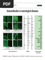 ENC2 Autoimmune Encephalopathy Testing | PDF | Immunofluorescence | Neuron