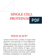 Single Cell Protein (SCP)