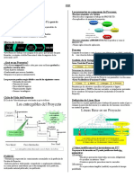 PMI (2) Resumen