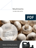 Mushroom