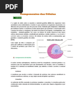 Funções das estruturas das células.pdf
