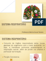 Sist Respiratorio.pdf
