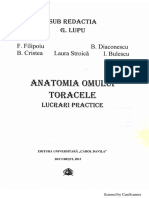 Lupu Torace PDF