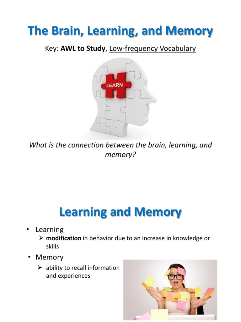 Brain Learning and Memory Techniques | PDF | Memory | Recall (Memory)