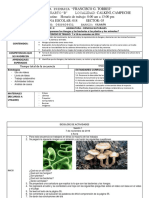 4.3. Planes de Ciencias