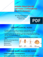 244027655 Transmision Neuromuscular Docx