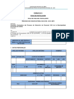 03 Formatos