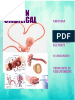 Cordon Umbilical Poster