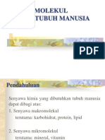 Makromolekul Dalam Tubuh Manusia