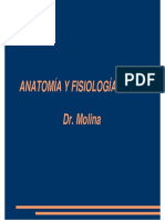 Molina-35-27Maig13.pdf