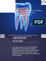 Soto Miranda - Necropulpectomía