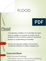 Flood