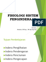 Anatomi Fisiologi Sistem Penginderaan