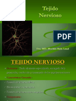 TEJIDO NERVIOSO