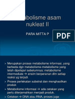 Metabolisme Asam Nukleat II