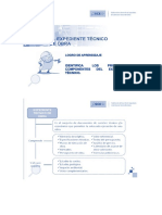 Oce Expedinte Tecnico