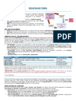 Neuroanatomia 2n Medicina