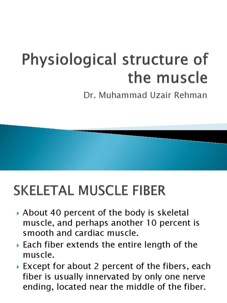 Wa0038 | PDF | Skeletal Muscle | Myocyte