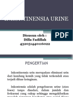 Inkontinensia Urine 