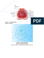 Perawatan Perineum