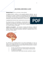 Glandula Pineal y Dimetiltriptamina