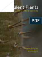 Succulent Plants