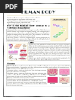 Human Body: How Is The Human Body Similar To A Well-Tuned Machine?