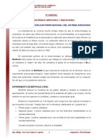 15 Organizacion Anatomofuncional Del Sistema Endocrino Lectura