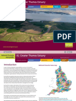 81 Greater Thames Estuary.pdf