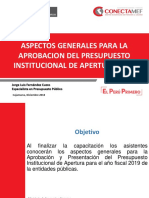 PPT Lineamientos Generales PIA 2019.pdf