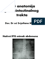 AbdomenT PDF