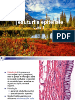 Curs.1.Stoma 2019