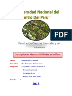Descripcion de Maderas Ltifoliadas y Coniferas.docx