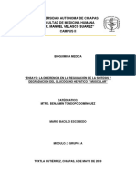 Ensayo: La Diferencia en La Regulación de La Síntesis y Degradacion Del Glucógeno Hepático y Muscular