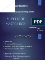 Good Morning: Muscles of Mastication