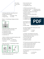 Soal Fotosintesis