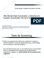 1C. Mini Mental State Examination y Addenbrook's Cognitive Examination Revised VCH