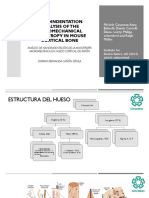 Análisis de nanoindentación de la anisotropía micromecánica en hueso cortical de ratón