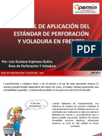 Aplicaciones Del Estandar DE PyV.pptx
