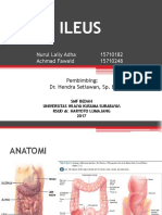 Ileuss