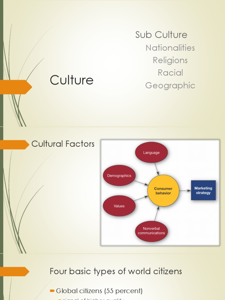 2 Chapter 2 Culture | PDF | Marketing | Value (Ethics)