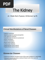 The Kidney: Dr. I Made Naris Pujawan, M.Biomed, SP - PA