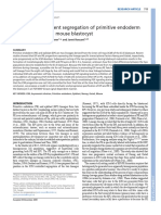 FGF Signal-Dependent Segregation of Primitive Endoderm