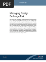 85609969 55190814 Forex Exposure Management Foreign Exchange - 