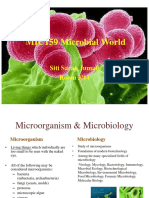 MIC159 Microbial World: Siti Sarah Jumali Room 3/14