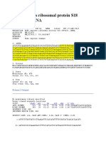 Homo Sapiens Ribosomal Protein S18