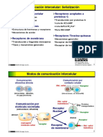 biosenalizacion-2010.pdf